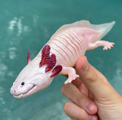 Axolotl Figurine Toy