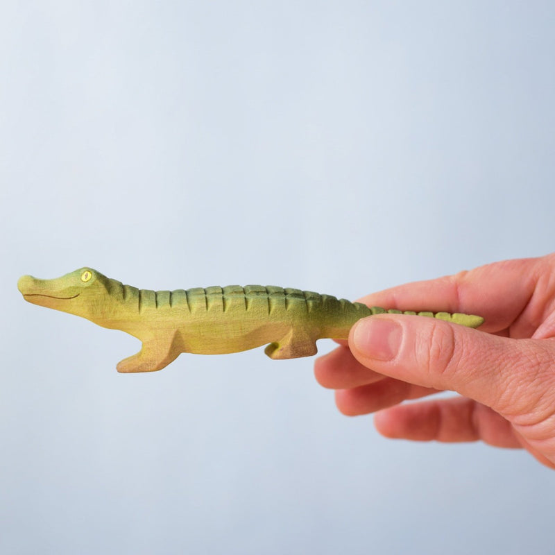 Baby Crocodile