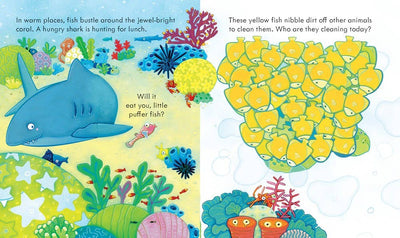 Peek Inside the Sea : Usborne