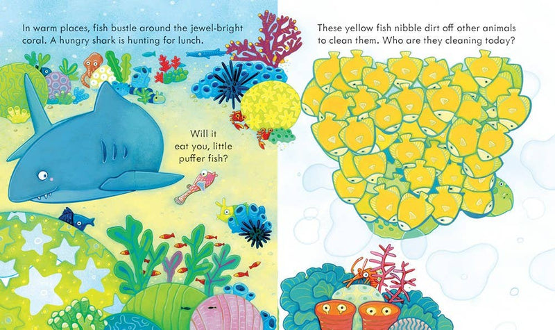 Peek Inside the Sea : Usborne