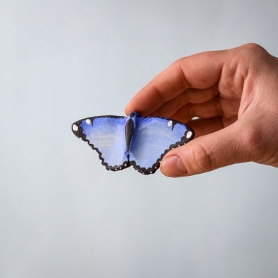 Blue Butterfly