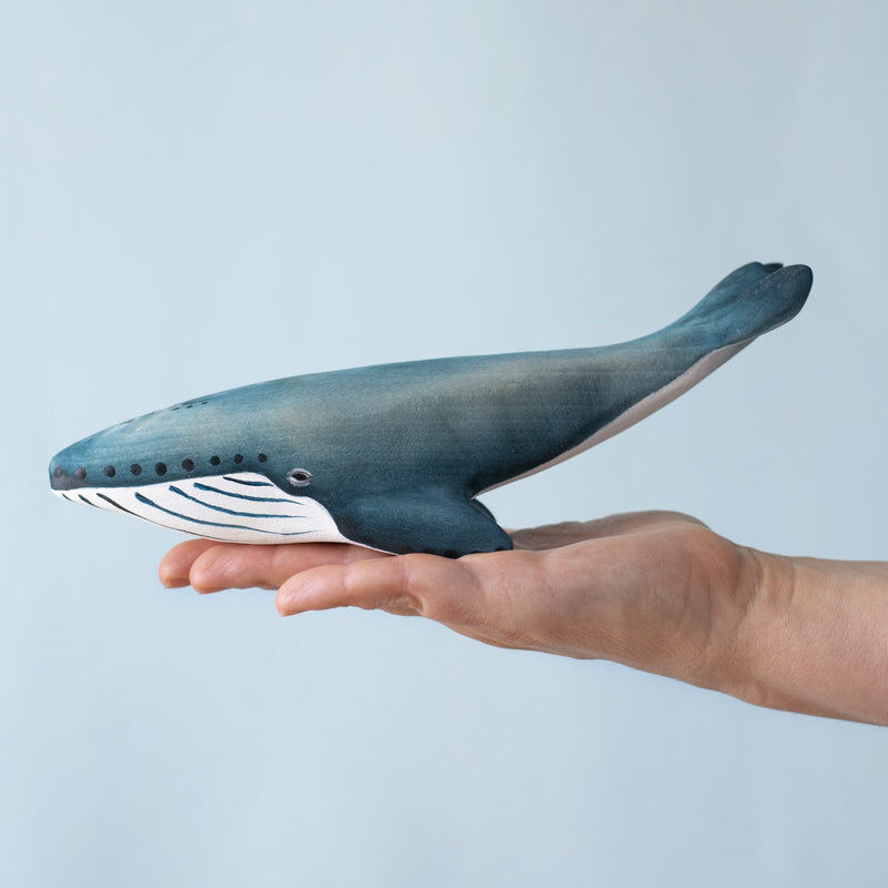 Blue Whale Set