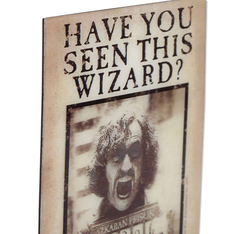 Harry Potter Have You Seen This Wizard Metal Magnet