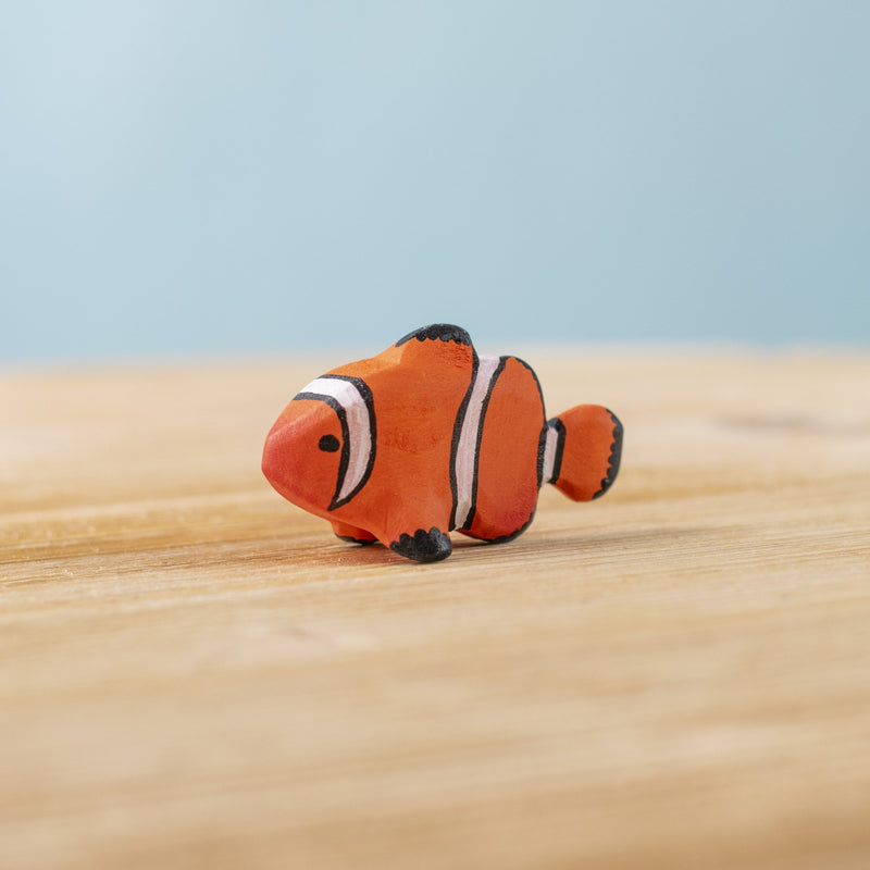 Clown Fish