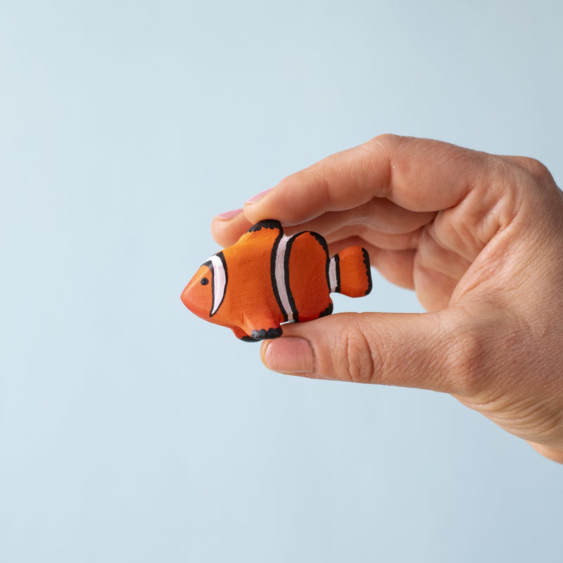 Clown Fish