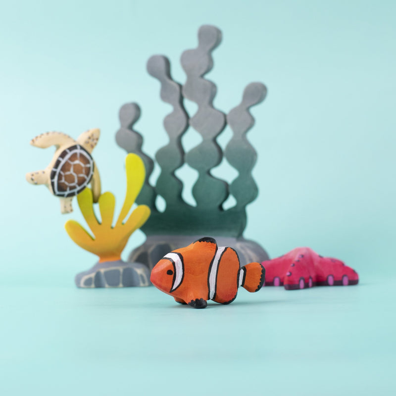 Clown Fish