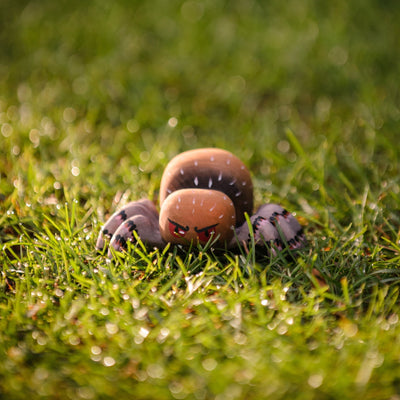 Cobweb and Spider Set