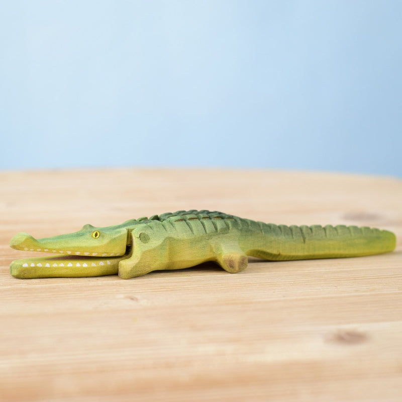 Crocodile