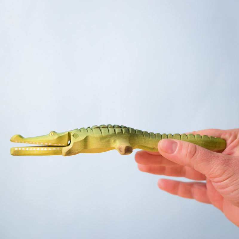 Baby Crocodile