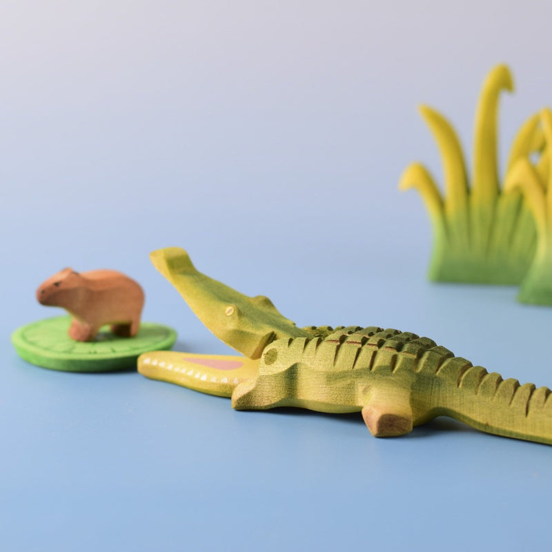 Crocodile