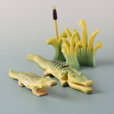 Crocodile