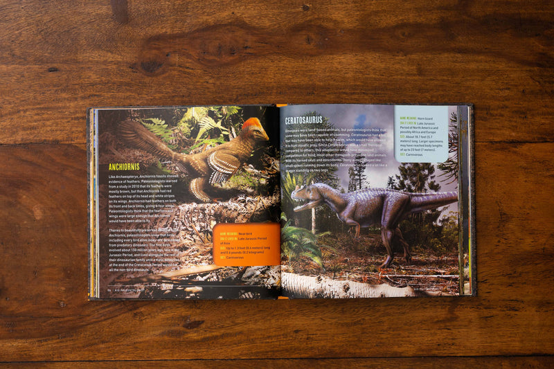 Kid Paleontologist: Explore the Remarkable Dinosaurs