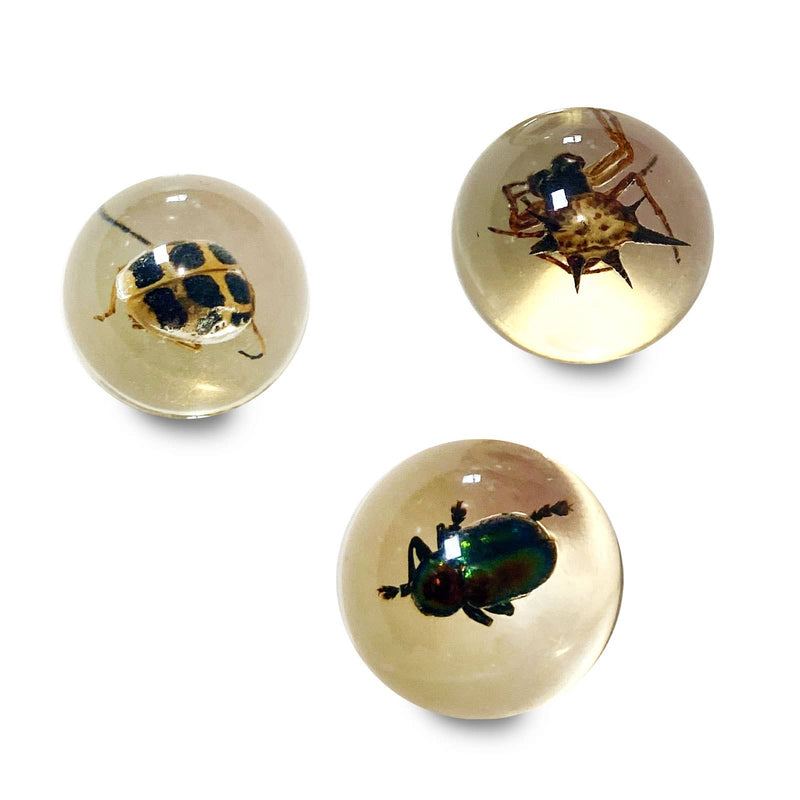 GEOWorld Bug Marbles