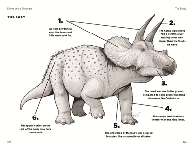 So You Think You Know About Triceratops?