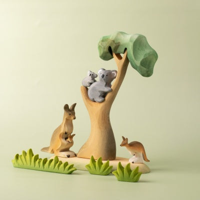 Eucalyptus Tress