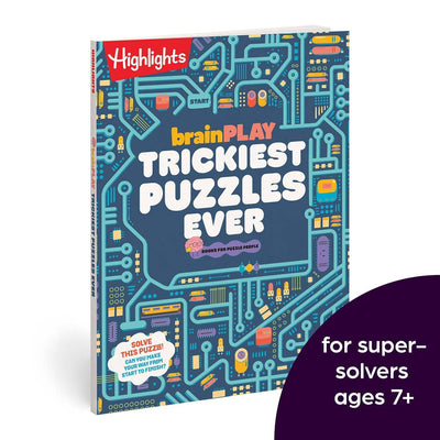 Brainplay Trickiest Puzzles Ever