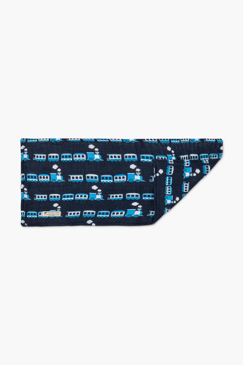 Organic Burp Cloth - Blue Trains