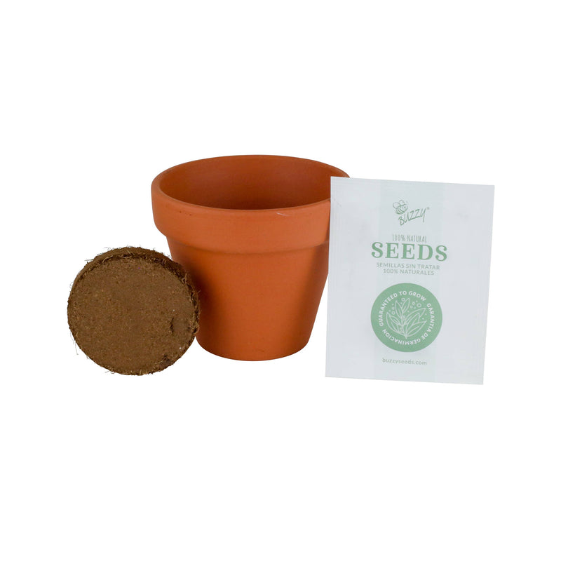 Mini Grow Pot - Forget-Me-Not - 100% Organic Grow Kit