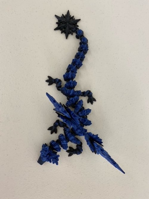 Dragon Variety Medium (12-18")