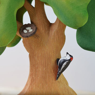 Large Autumn Oak Tree with Woodpecker