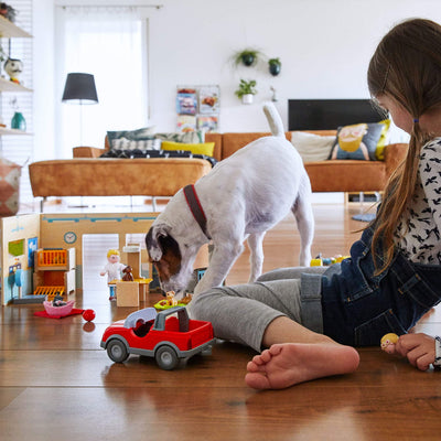 Little Friends Vet Clinic Playset with Rebecca Doll