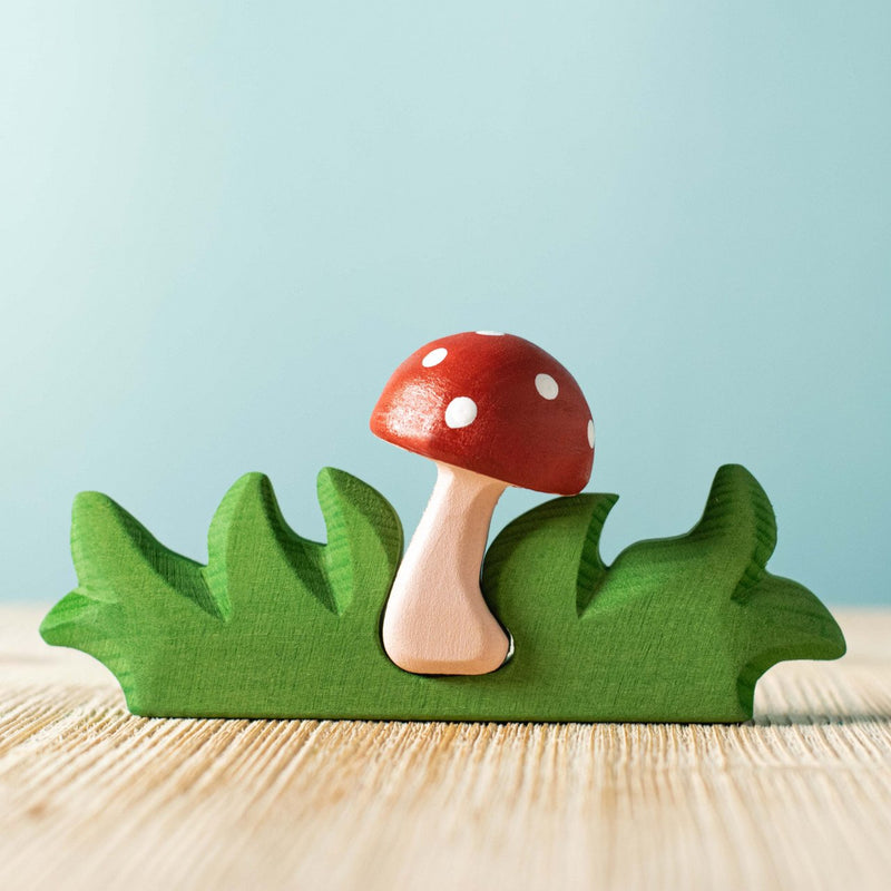 Mushroom in Grass