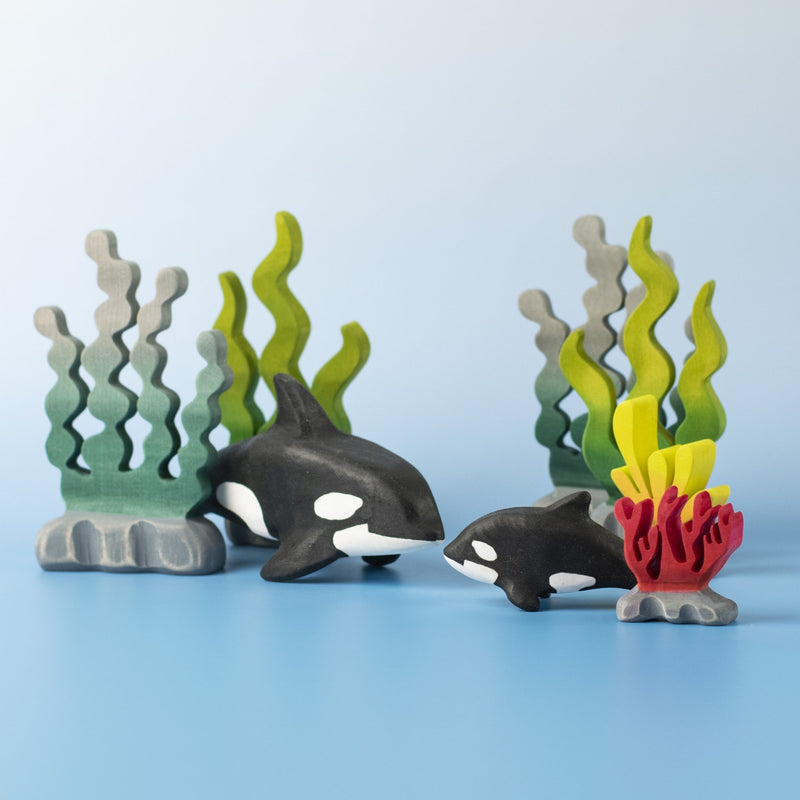 Orca Set