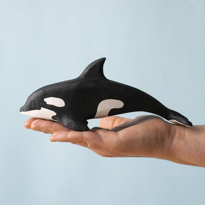 Orca Set