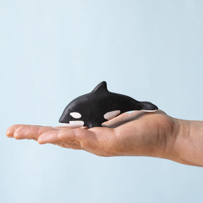 Orca Set