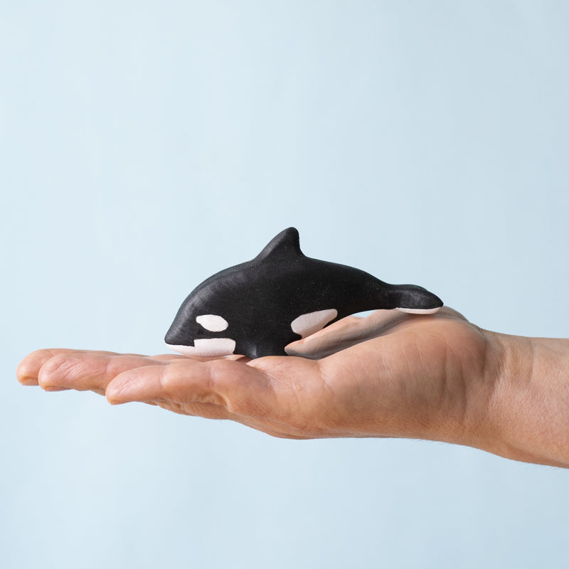 Orca Set