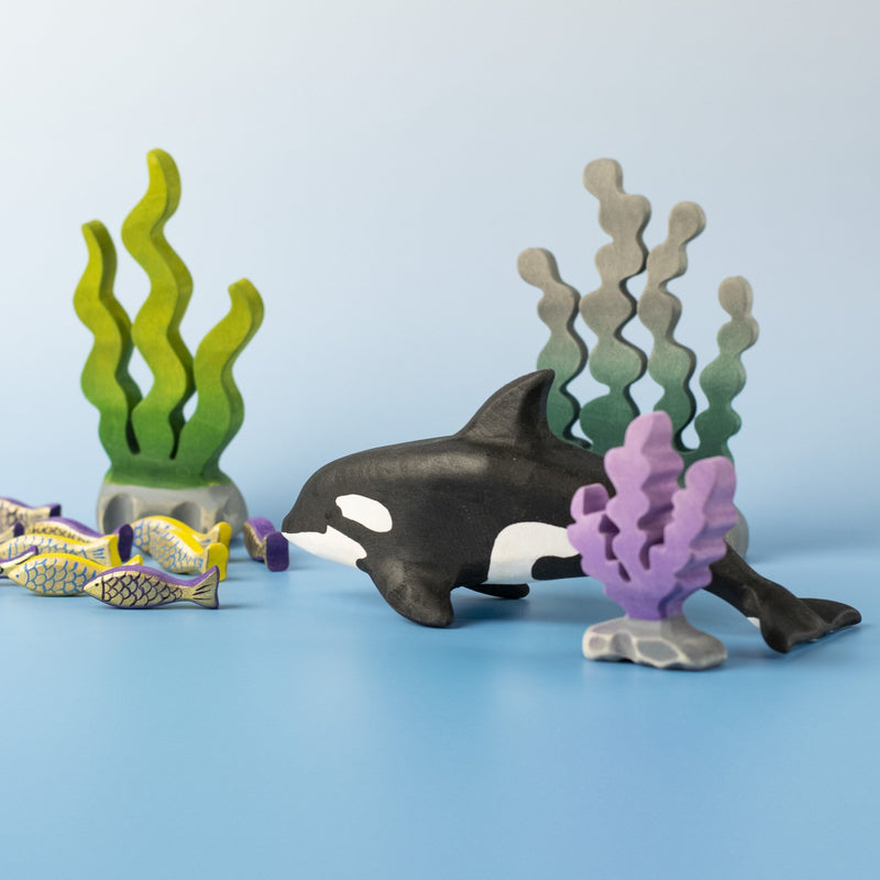 Orca Set
