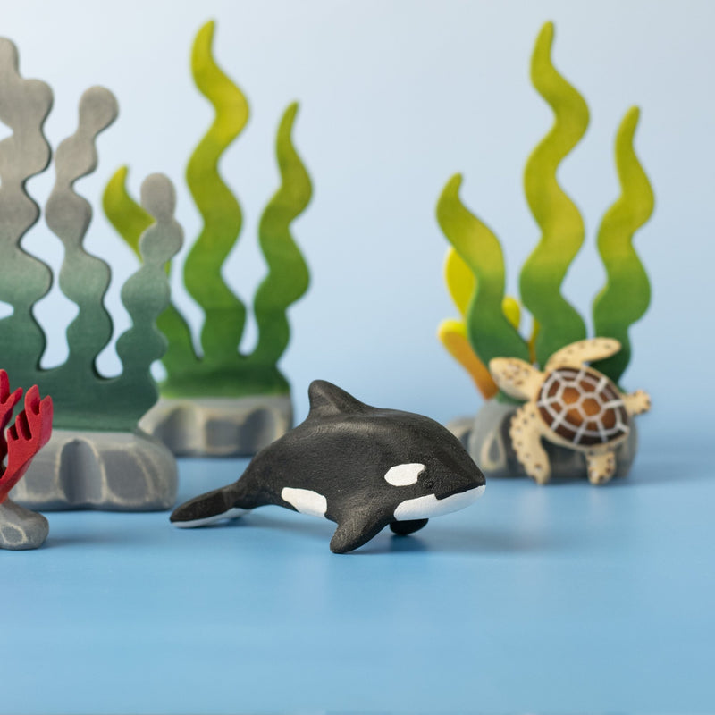 Orca Set