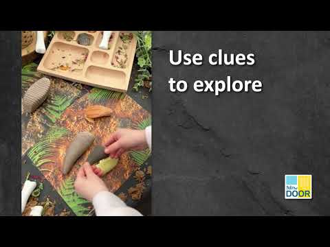 Prehistoric Teeth Explore and Discover Activity Cards
