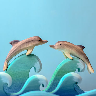 Dolphin Set