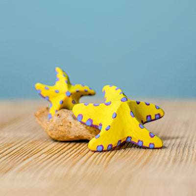 Yellow Starfish SET