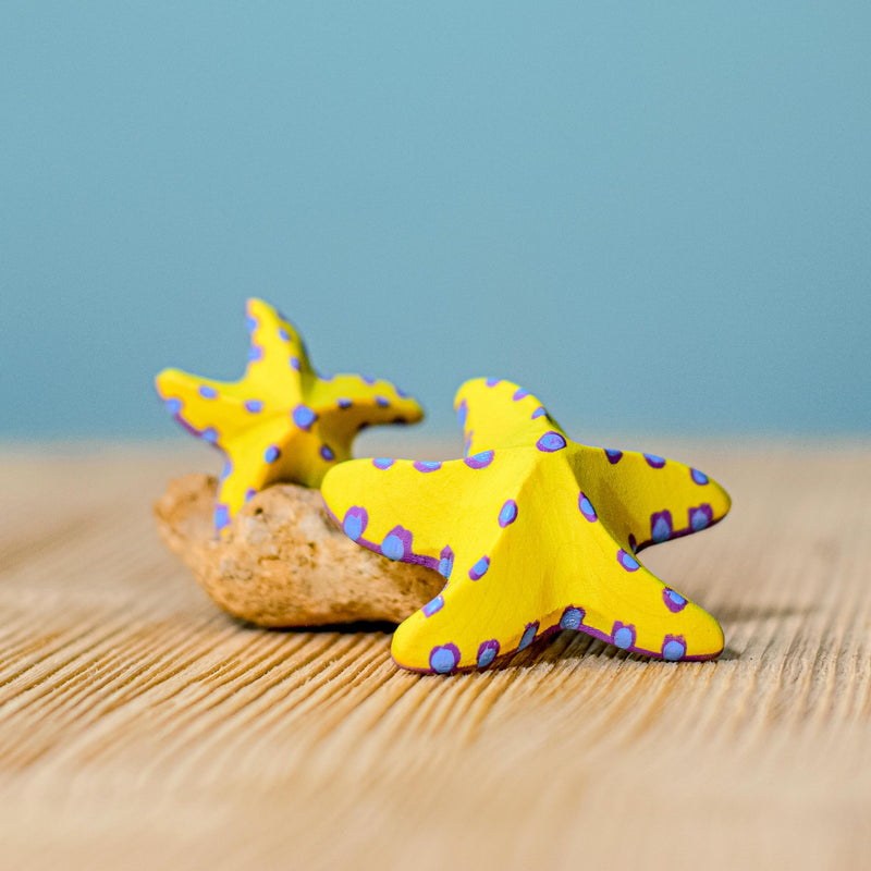 Yellow Starfish SET
