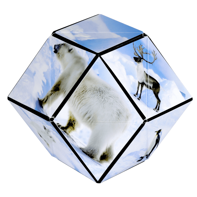 Animal Series Shashibo - Arctic