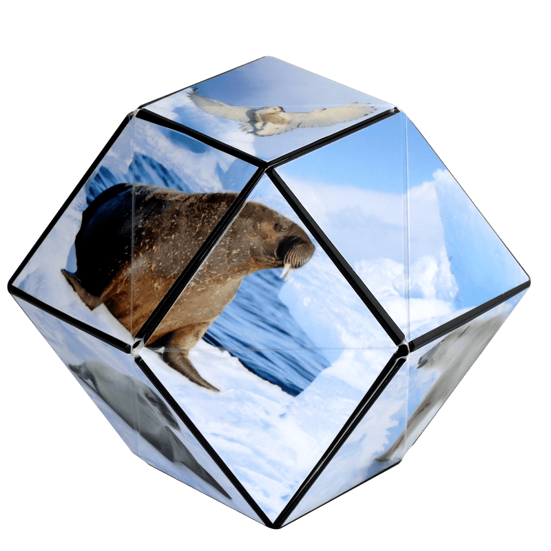Animal Series Shashibo - Arctic