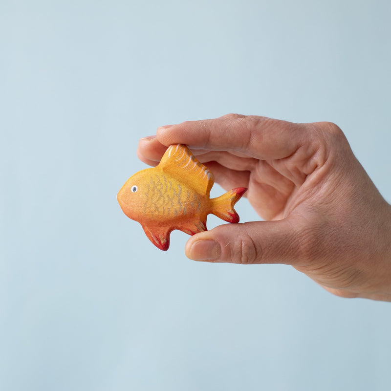 Tropical Fish Set