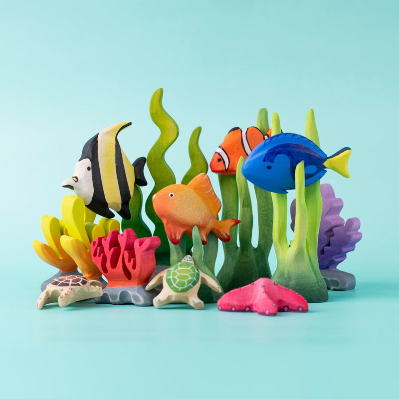 Tropical Fish Set