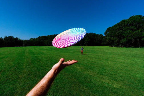 Big Wing Flying Disc