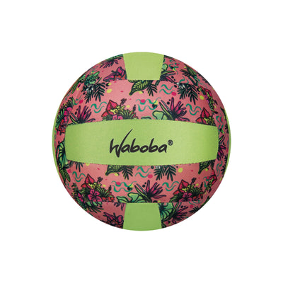 Classic Beach Volleyball - Artist Series