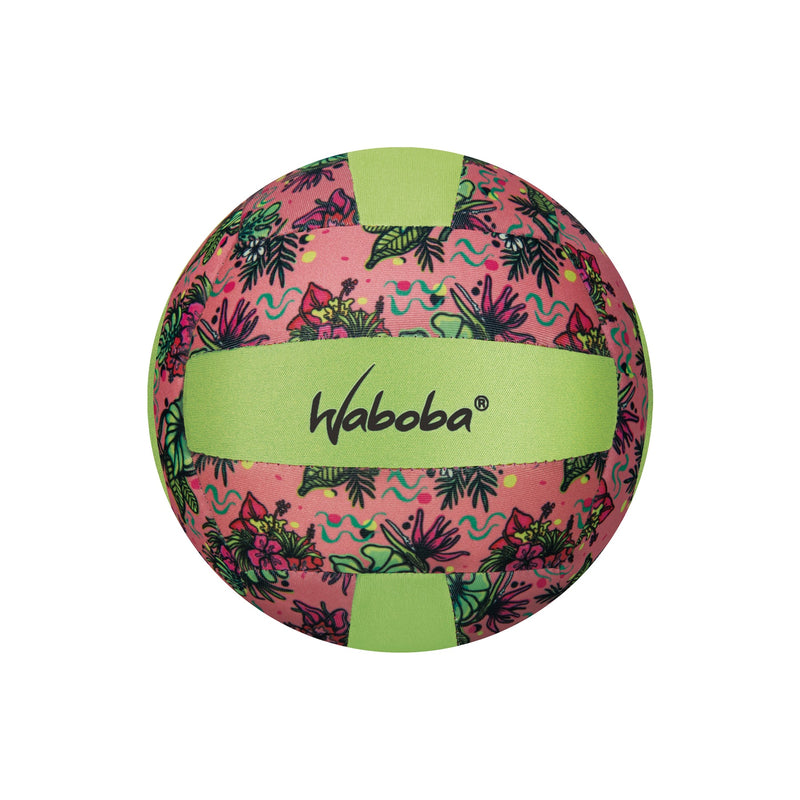 Classic Beach Volleyball - Artist Series