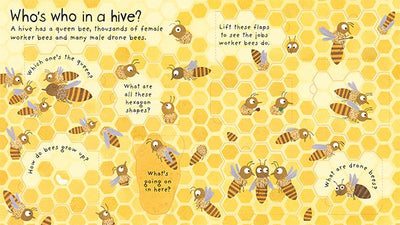 Lift-the-Flap First Questions and Answers: Why Do We Need Bees?
