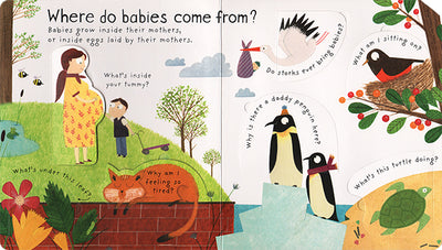 Lift-the-Flap First Questions and Answers: Where Do Babies Come From?