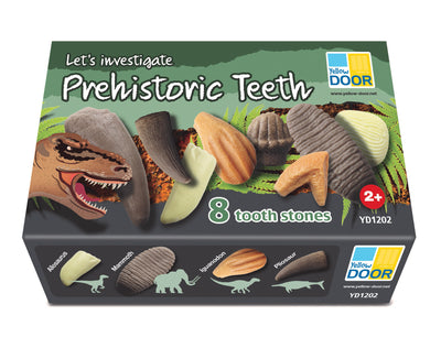 Let’s Investigate – Prehistoric Teeth