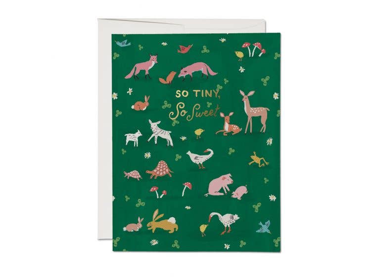 Tiny Animals baby greeting card