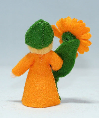 Calendula Prince, Orange Flower
