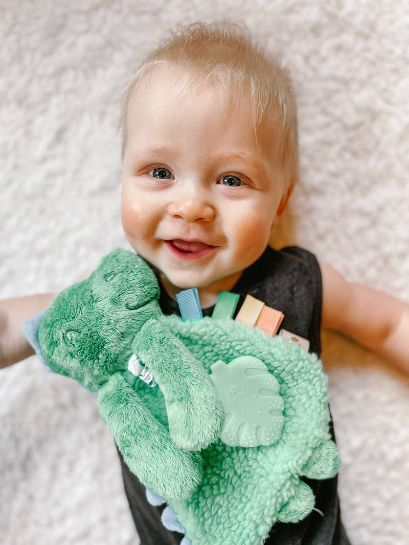 Itzy Friends Itzy Lovey™ Plush with Silicone Teether Toy - Green Dino