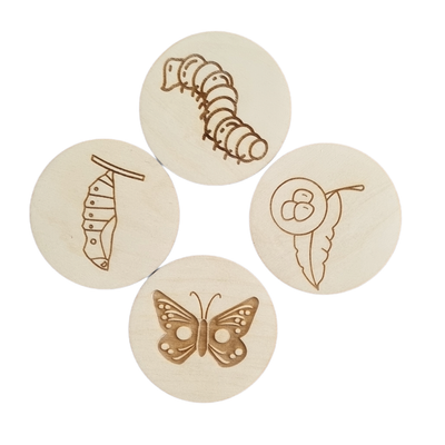 Life Cycle Disc Set BUTTERFLY